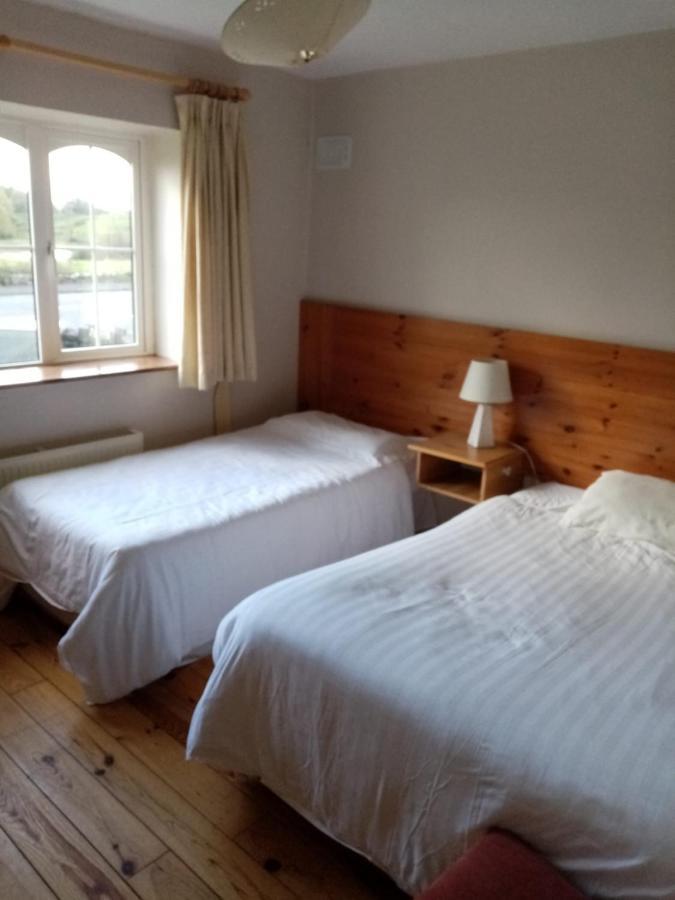 Parnell House Bed & Breakfast Ennis Eksteriør bilde
